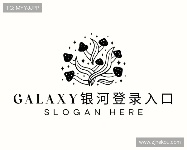解读Galaxy银河登录入口